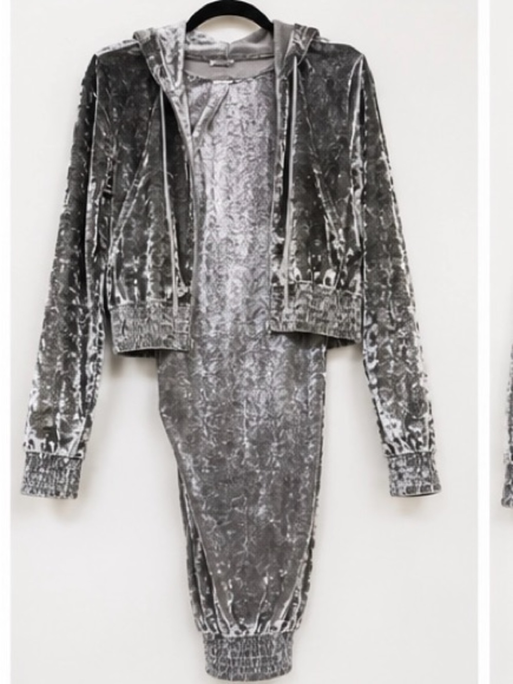 Crushed Velvet Hooded Jacket in Silver